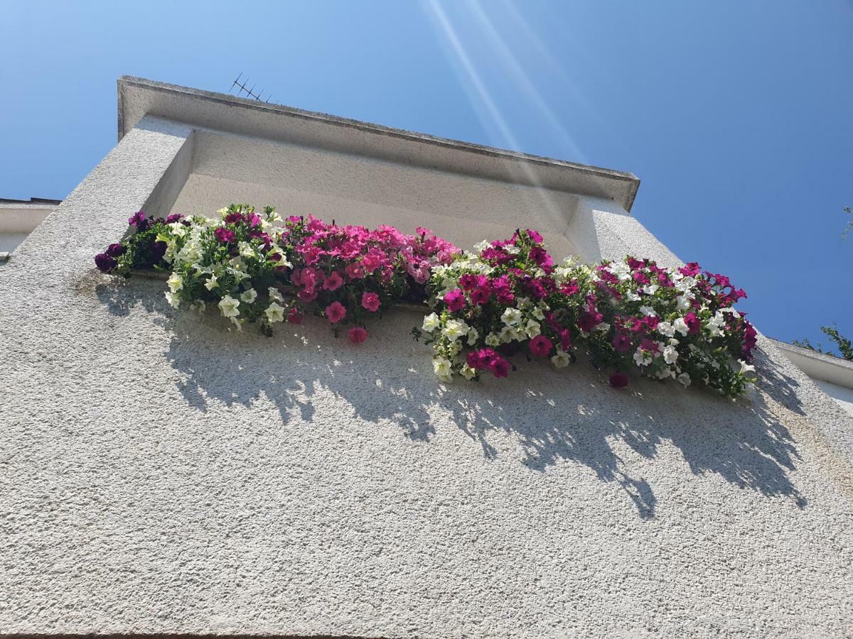 Kero New Value 2023 Fully Ac Apartment Porec